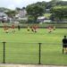 東部リーグ・県サッカー1部リーグ・年金GB大会・九州大学春季バレーボール男子１部リーグ大会最終日